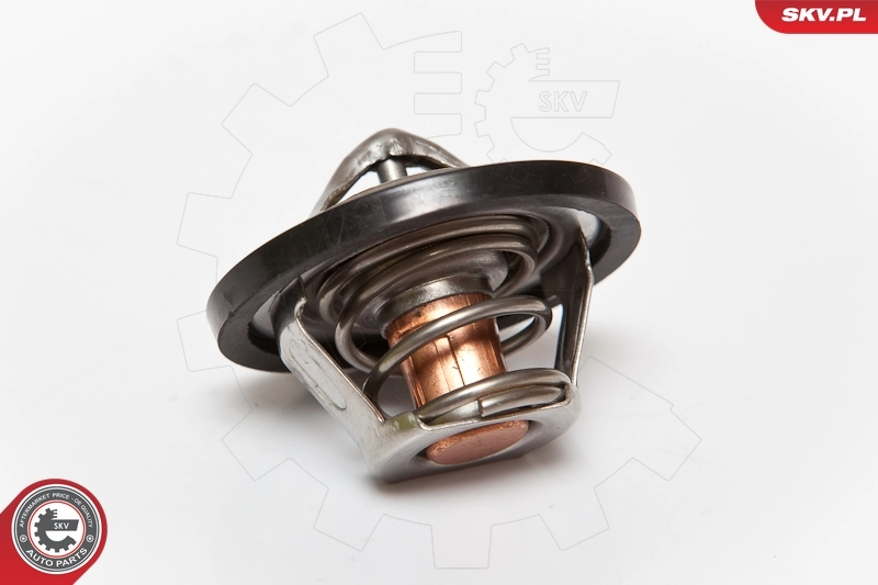 Thermostat, coolant